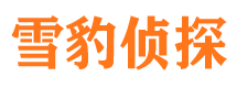 麒麟市私家侦探